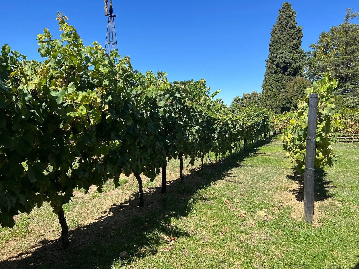 Wine tour Portugal