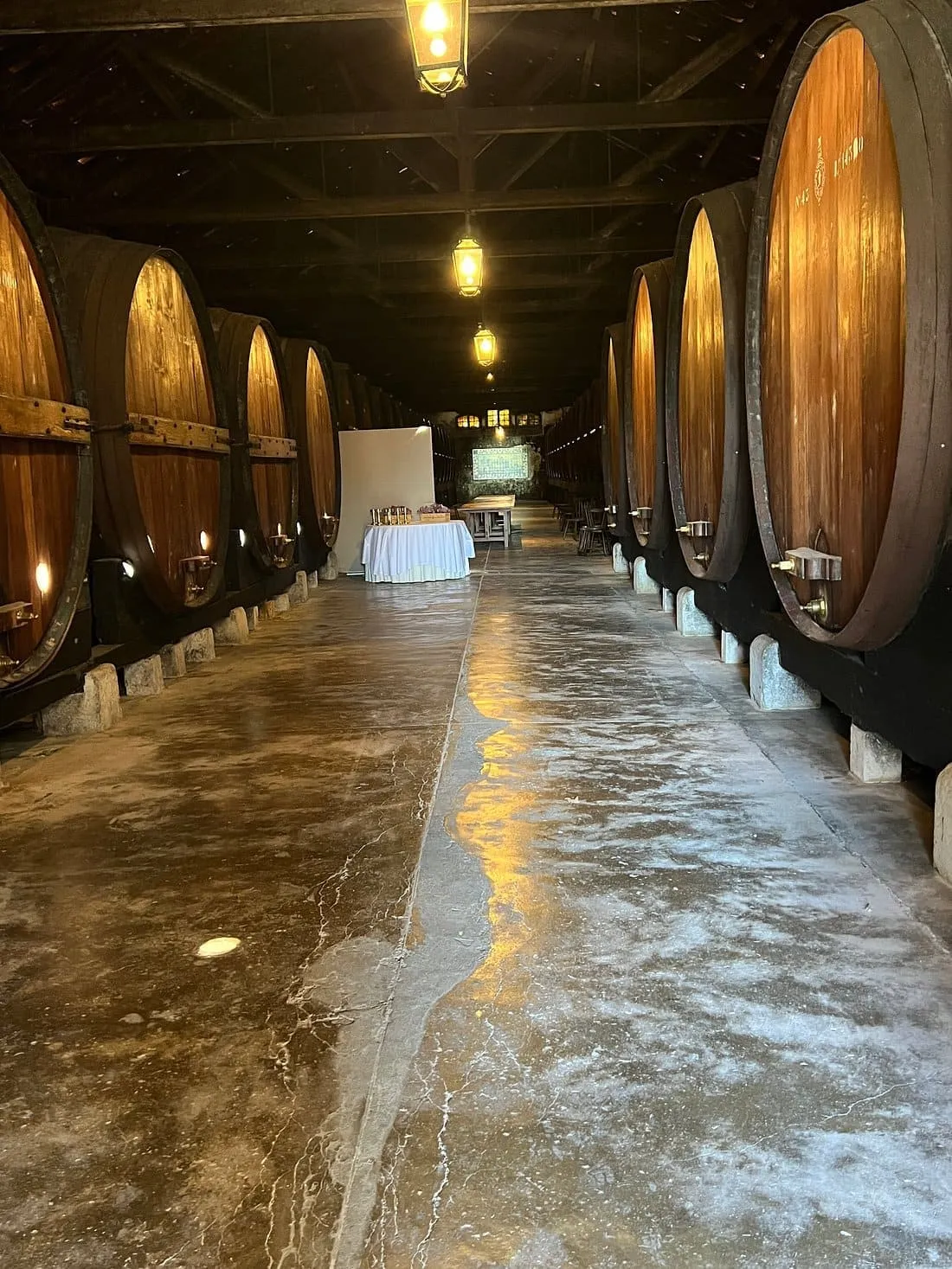 Wine tour Portugal
