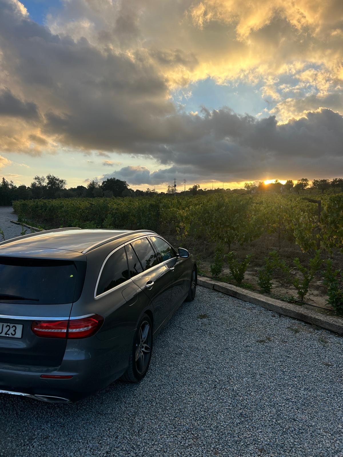 Wine tour Portugal