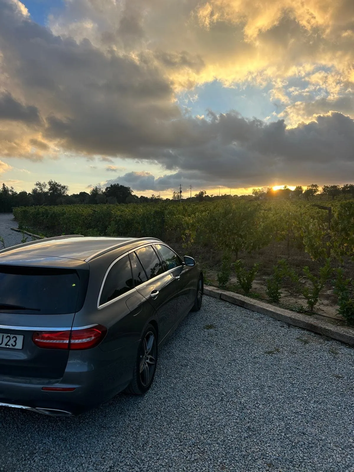 Wine tour Portugal