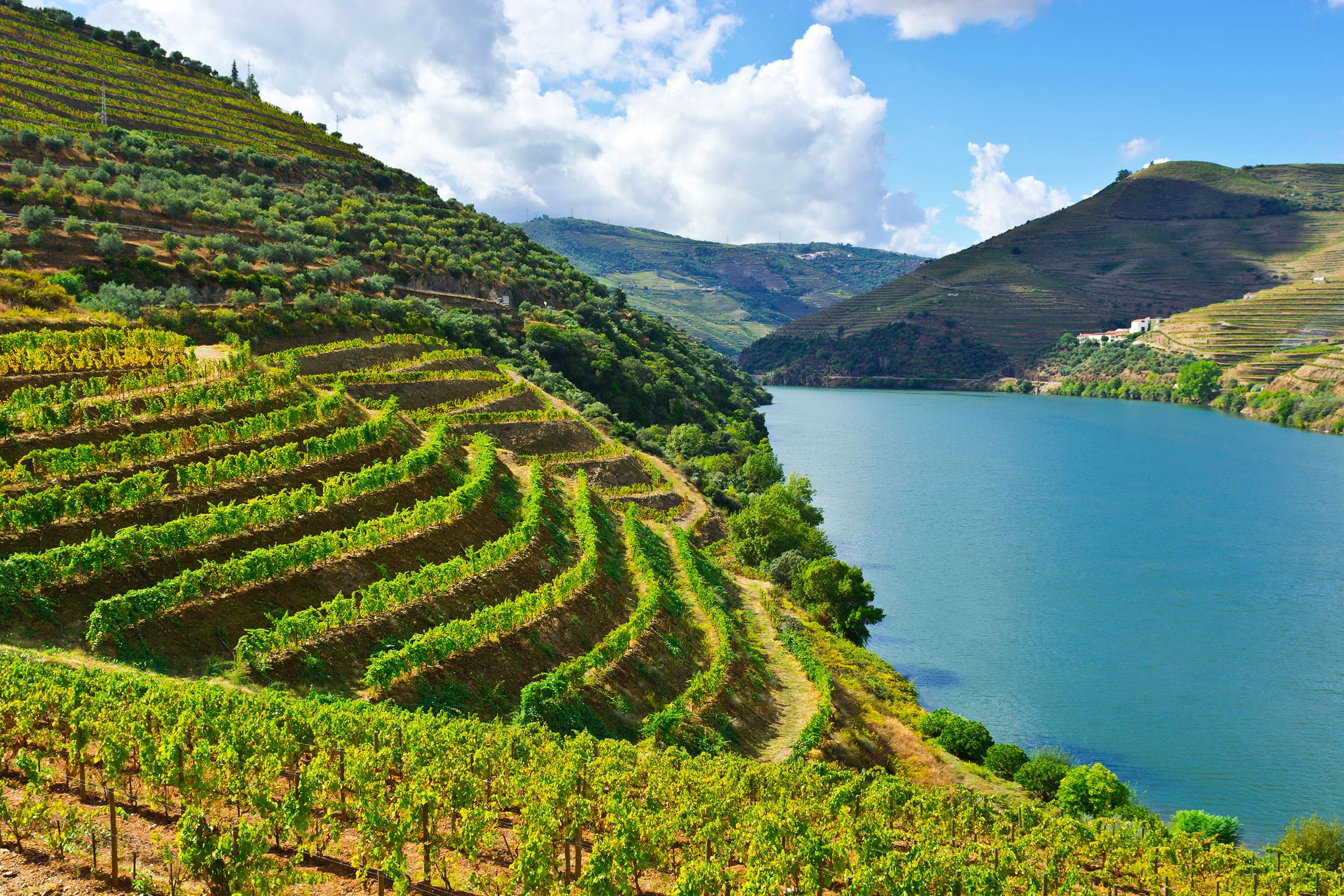 Douro Wine tour Portugal