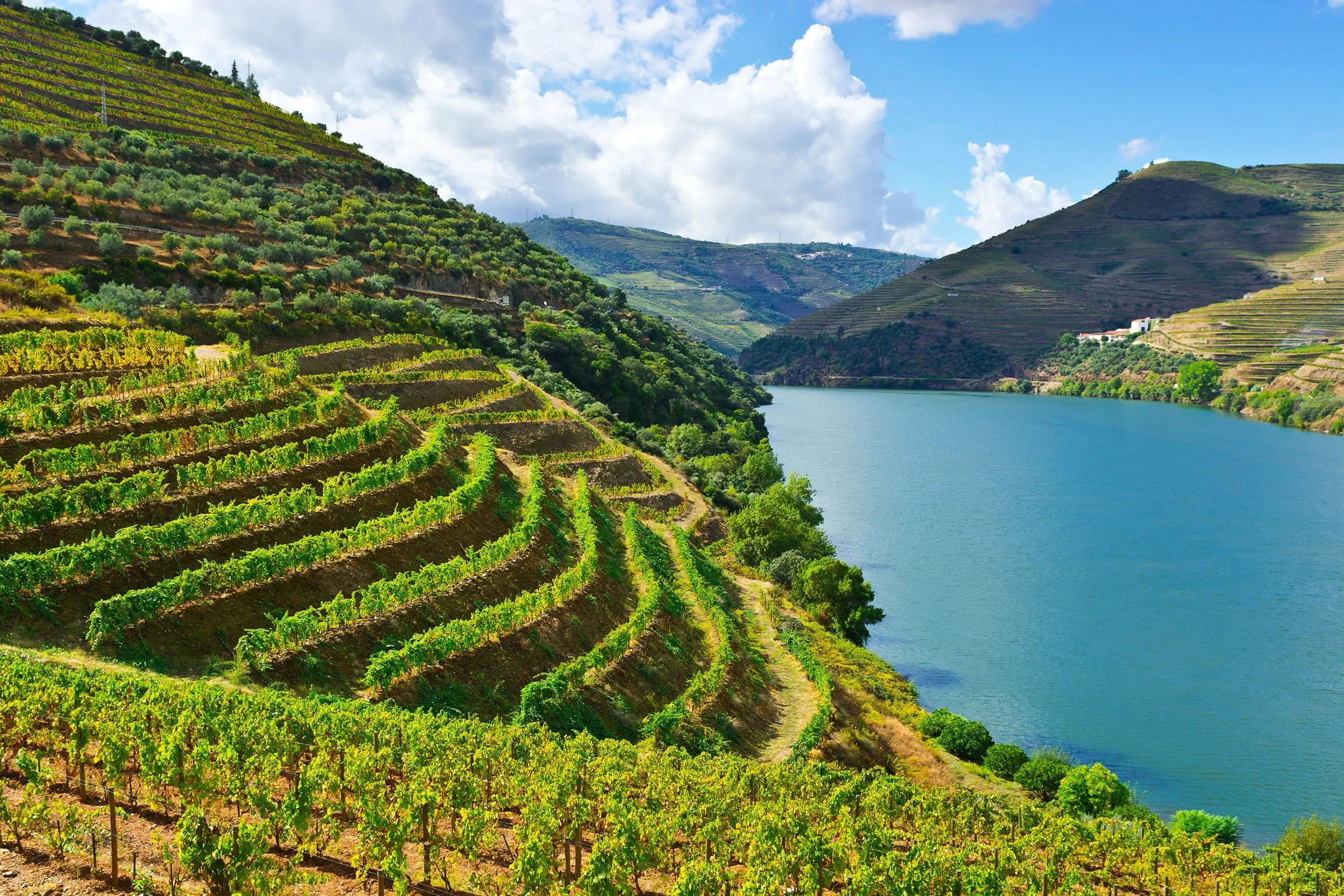 Douro Wine tour Portugal