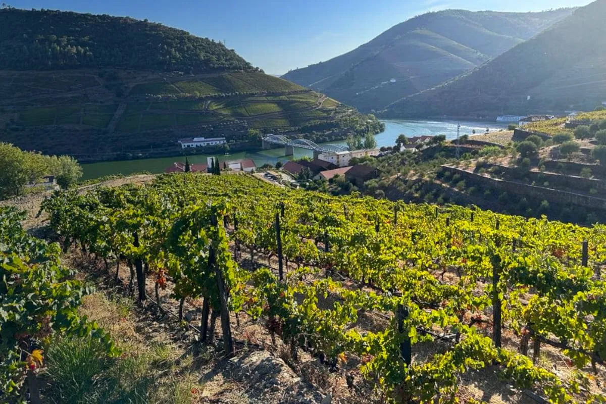 Douro Wine tour Portugal