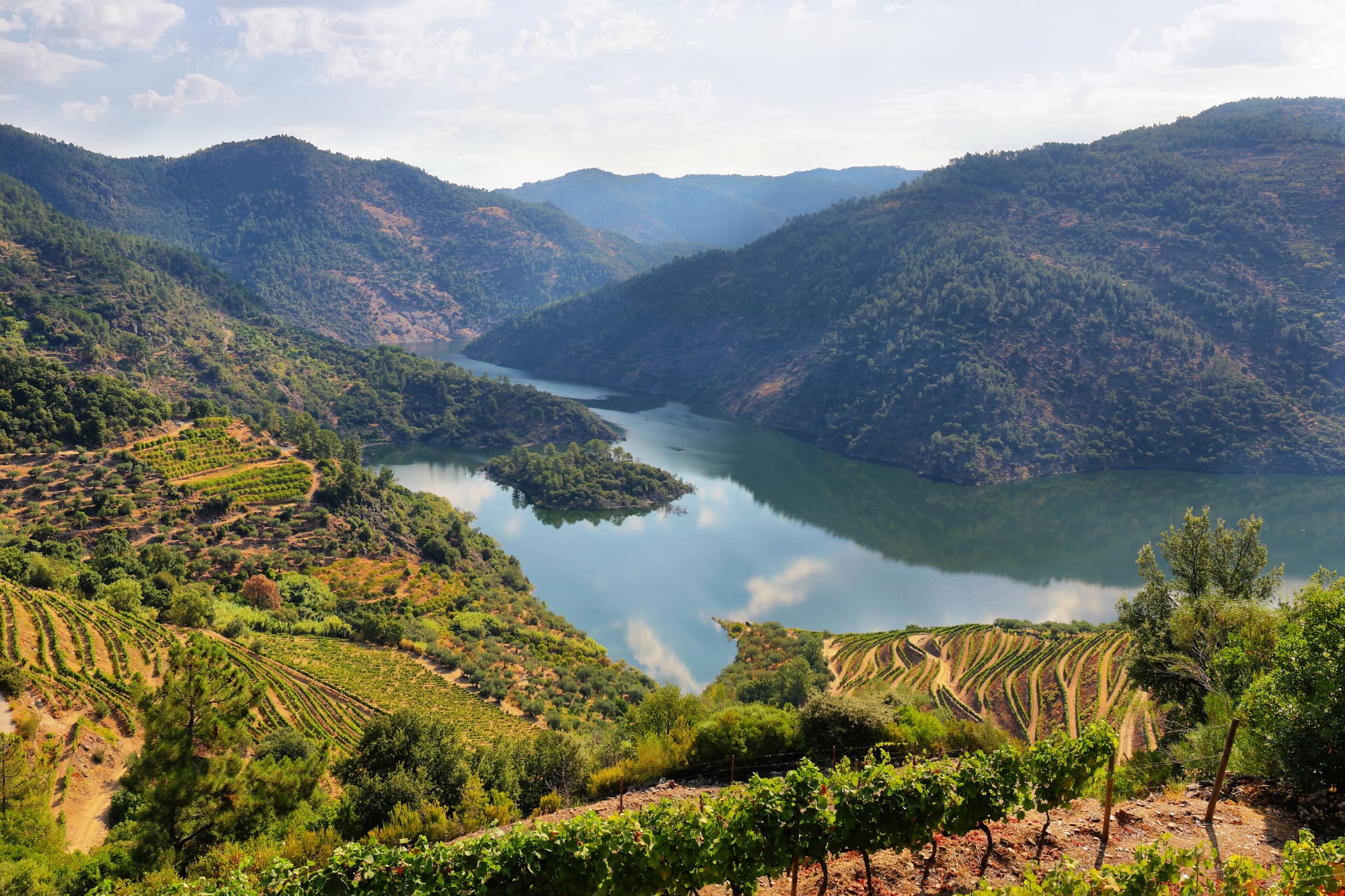 Douro Wine tour Portugal