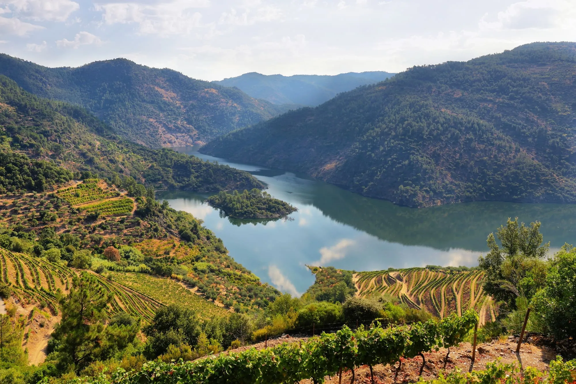 Douro Wine tour Portugal