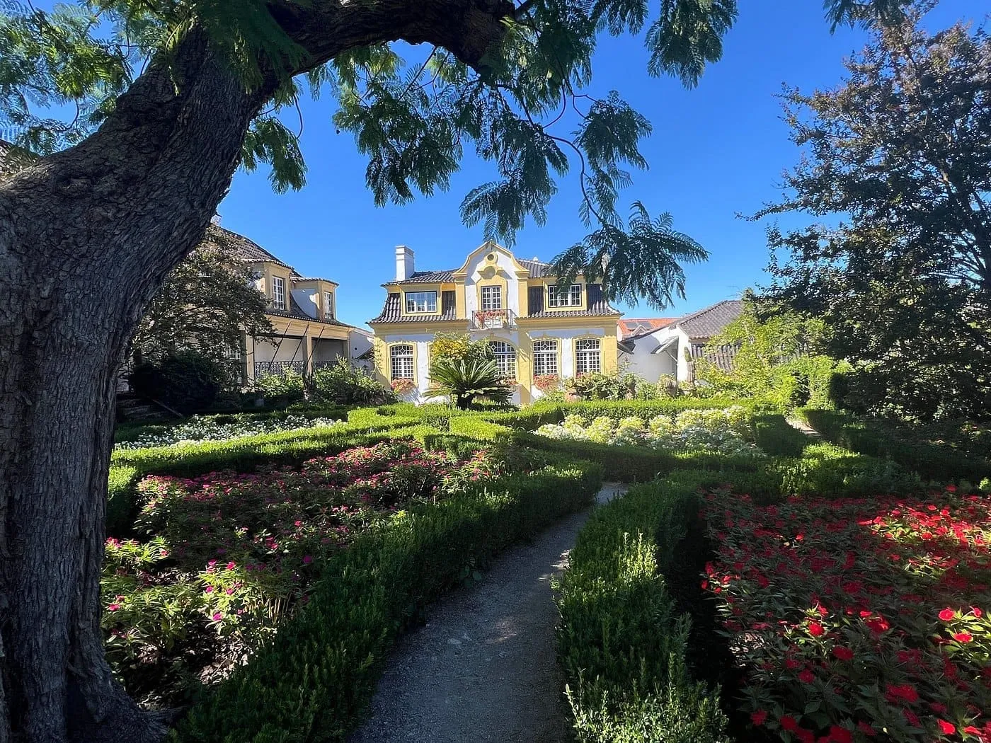 Wine tour Portugal