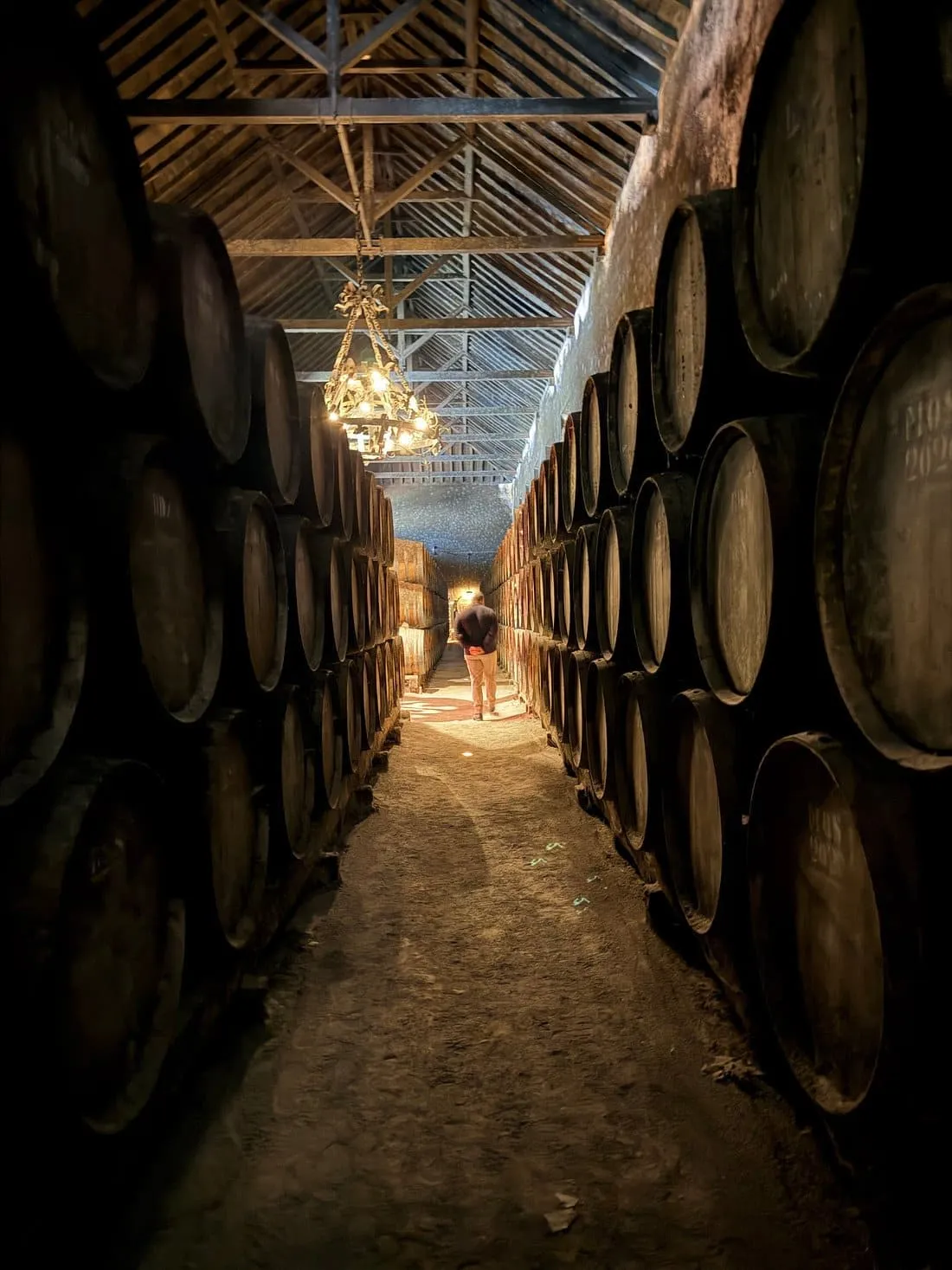 Wine tour Portugal