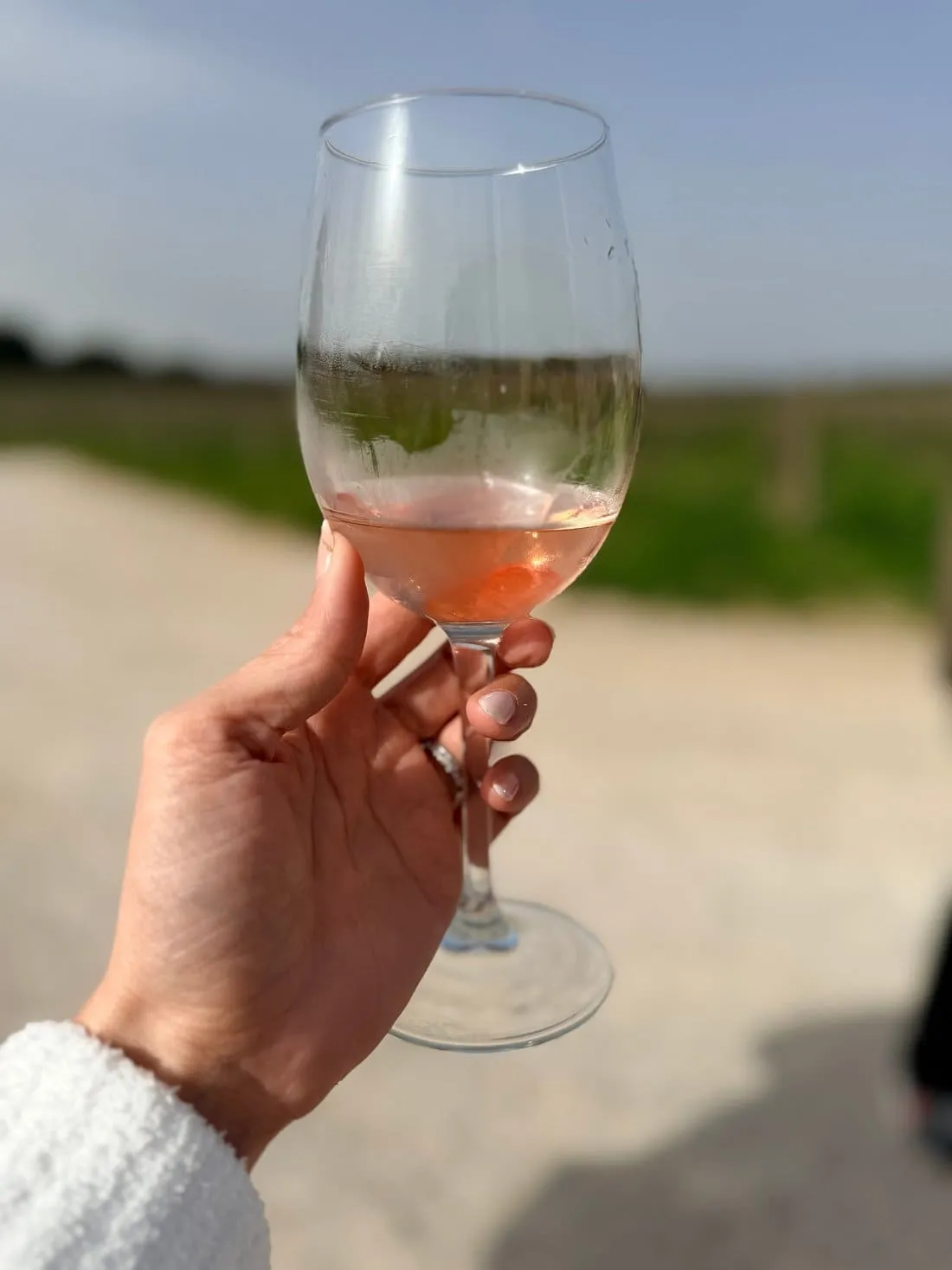 Wine tour Portugal